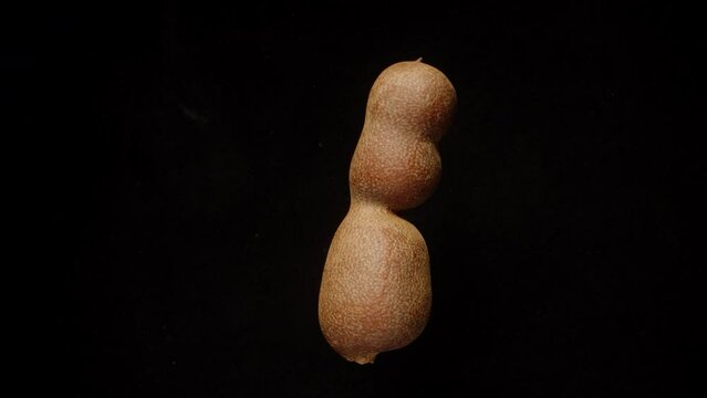 Tamarind in a shell, rotation on a black background isolate, close-up.
