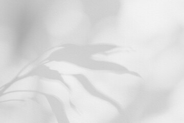 Shadow and sunshine of leaves reflection. Jungle gray darkness leaf shade and lighting on concrete wall for wallpaper, shadows overlay effect. Blur shadow abstract background