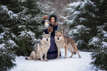 A cute girl in a beautiful vintage costume walks with wolves in the winter forest.