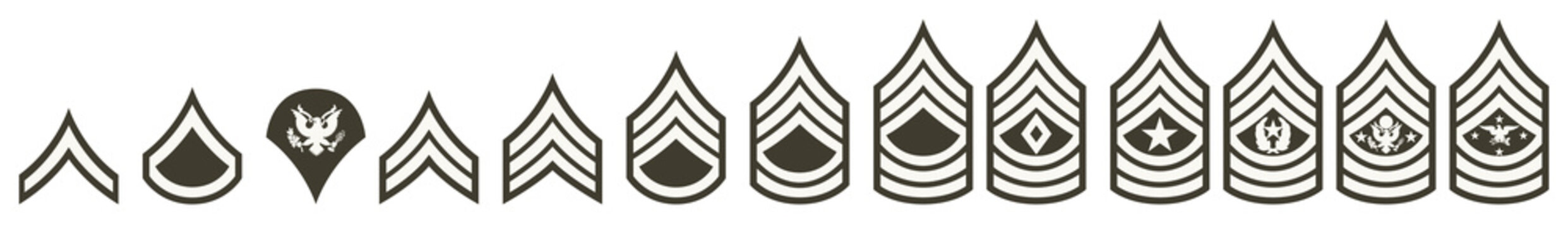 Vector military insignia of the United States Army