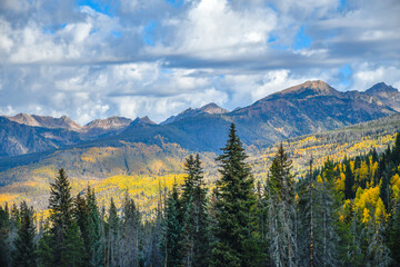 Fototapeta na wymiar Autumn trees, Rocky Mountains, Colorado