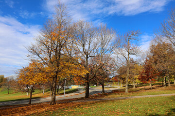 Fall landscape north america Quebec province Canada