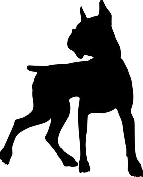 recommend clip art: Dog Silhouette Pet Animal