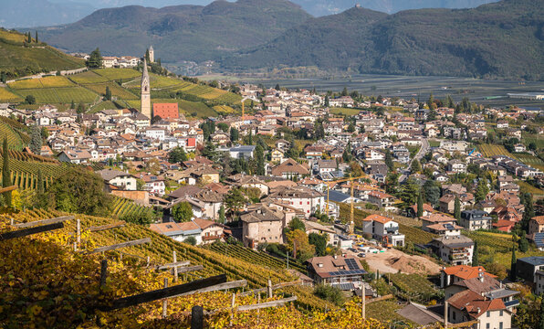 Tramin Village (Termeno) along the wine route. Tramin is the wine-growing village of the South Tyrol - province of Bolzano - northern Italy - view of the countryside in autumn - Vineyards in autumn