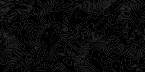 Topographic contour map. Vector cartography illustration. Topography and geography map grid abstract backdrop. Business concept. Fish Fillet Texture, Salmon fillet texture, fish pattern. paper texture