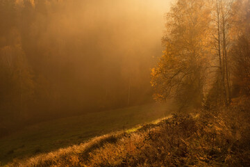 Jesienny mglisty poranek , promienie słońca - obrazy, fototapety, plakaty