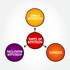 Types of Diffusion is the net movement of anything generally from a region of higher concentration to a region of lower concentration, mind map concept background