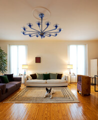 Elegant living room with large sofas and armchair. Vintage apartment interior with modern furniture