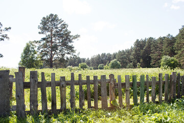 rural landscape with wooden fence on meadow