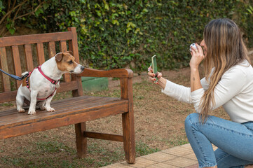 Woman holding toy ball for Jack Russell dog and taking picture with the cellphone