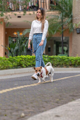 Jack Russel dog wearing red collar and leash and woman wearing jeans and sneakers on a walk on the street during the day, some trees and a building in the background