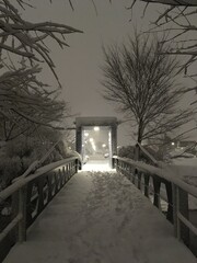 Winter light path