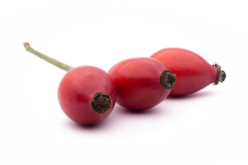 Rosehip berries (Rosa canina) isolated on white background