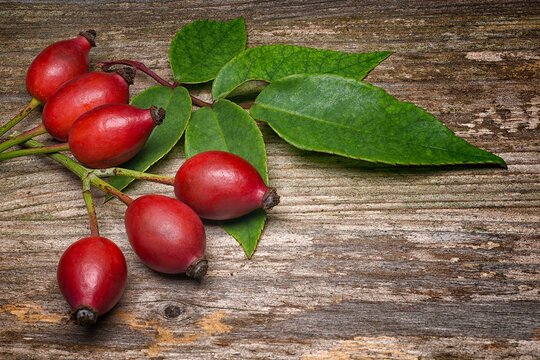 Rosehip berries  (Rosa canina) on wooden table. Background title