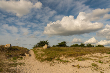 landscape with clouds and trees