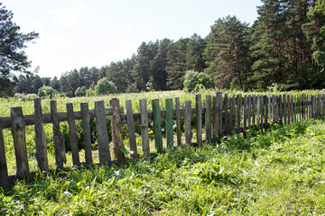 rural landscape with wooden fence on meadow