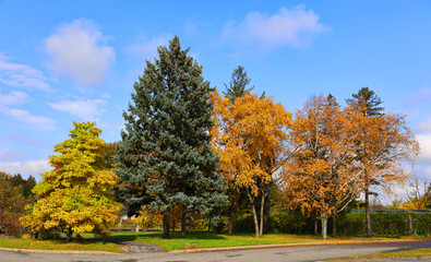 North america fall landscape Montreal Quebec province Canada