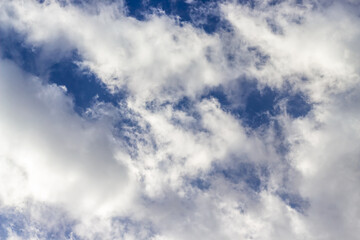 Fototapeta premium Beautiful blue sky background with cumulus clouds. Sunlight.