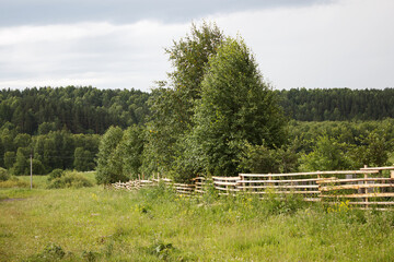 Fototapeta na wymiar rural landscape with wooden fence on meadow