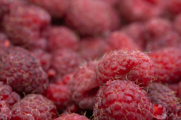 Ripe fresh raspberries as background or texture