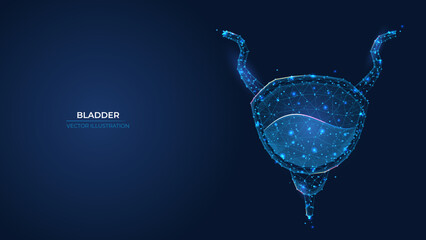 Futuristic abstract bladder symbol. Wireframe concept treatment of human excretory system. Low poly geometric 3d wallpaper background vector illustration.