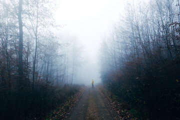 Eine Person steht im nebligen Wald