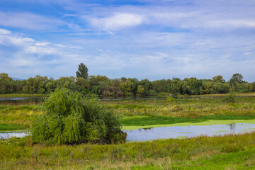 Fototapeta premium Riverside view in the margins of the Tagus river, near the portuguese village of Chamusca