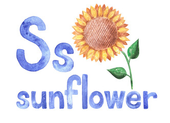 Aquarelle letter S for written word 