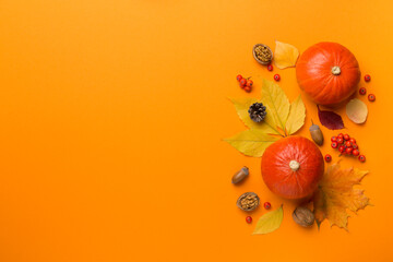 Festive autumn flat lay with pumpkins, berries and leaves on color background, top view