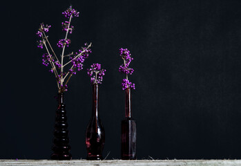 Branches of purple Callicarpa in vintage vases.