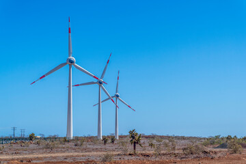 wind turbine in the desert (Galapagos Islands)