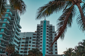 Fototapeta na wymiar beach state hotel tropical palms vacation miami 
