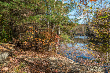 Trail along the lake in autumn