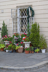 Potted Plants Street