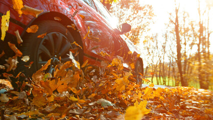 Close-up of a car wheel driving in forest road, swirling colorful leaves.