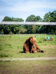 Fototapete bei efototapeten.de bestellen   