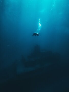 Scuba diving to explore a wrecked ship in the area of Gozo island, Malta