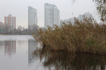 Obolon (Verbne lake)