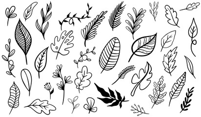 Various leaves doodle collection vector design template