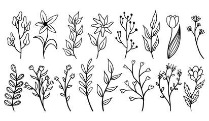 Set of botanical leaf and flower doodle vector design