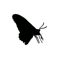 black silhouette of a butterfly for an icon, stamp, sign or logo