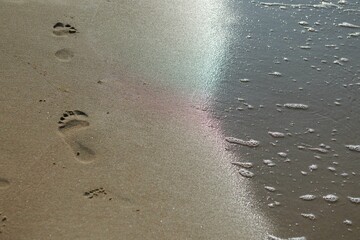 Footprints on a sandy beach on a sunny day in summer