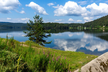 Summer view of Golyam Beglik Reservoir, Bulgaria