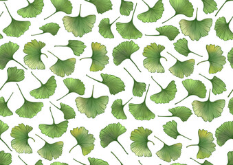Ginkgo biloba leaves. Seamless pattern, background. Vector illustration. In botanical style