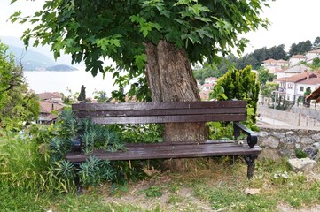 a wooden bench next to a tree