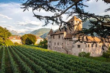 Old Castle In The middle of vineyard with Alps mountains in the background