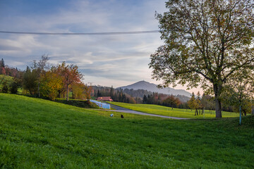 Green field in Switzerland with autumn coloured trees and mountains in background