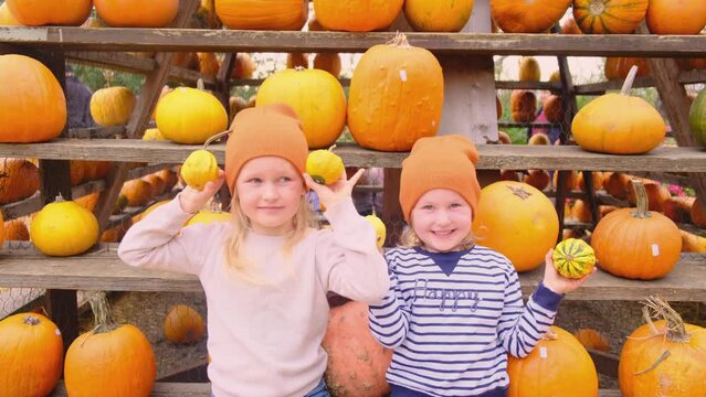 Two little sisters holding a pumpkins in their hands at the autumn pumpkin fair. Harvesting season.