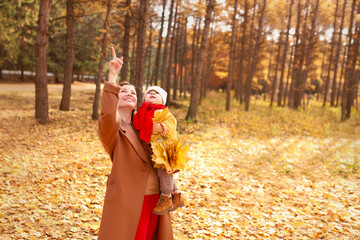  Mother and daughter having fun in autumn park. Happy family on walk. High quality photo