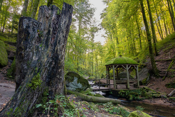 Haus mit Moos in der Karlstalschlucht im Pfälzer Wald